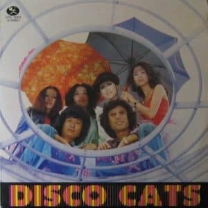 WILD CATS DISCO CATS